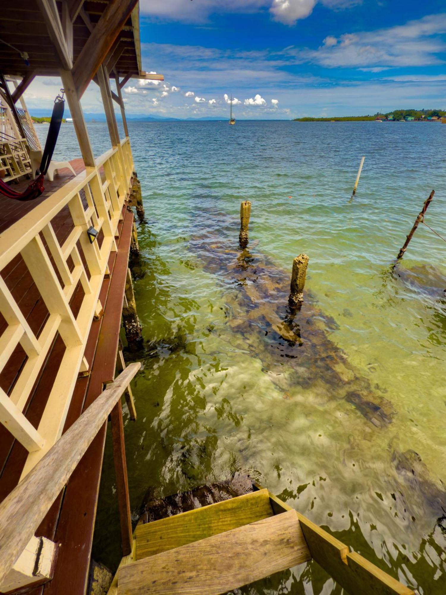 Saigon Bay Bed & Breakfast Bocas del Toro Rom bilde